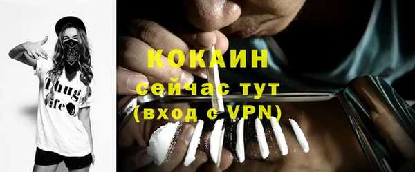 шишки Нязепетровск