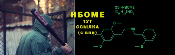 дурь Няндома
