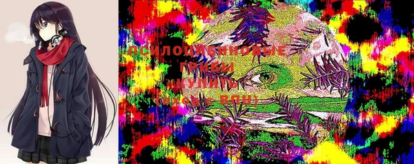 трава Абаза