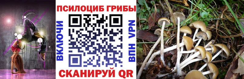 мега рабочий сайт  Питкяранта  Галлюциногенные грибы мухоморы  что такое  